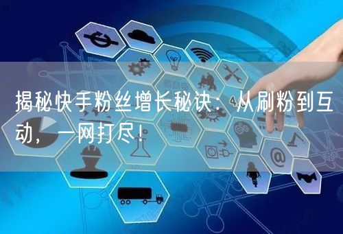 揭秘快手粉丝增长秘诀：从刷粉到互动，一网打尽！