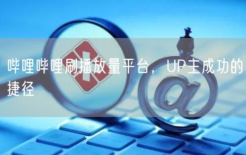 哔哩哔哩刷播放量平台，UP主成功的捷径