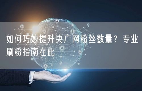 如何巧妙提升央广网粉丝数量？专业刷粉指南在此