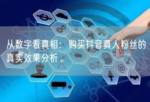 从数字看真相：购买抖音真人粉丝的真实效果分析。