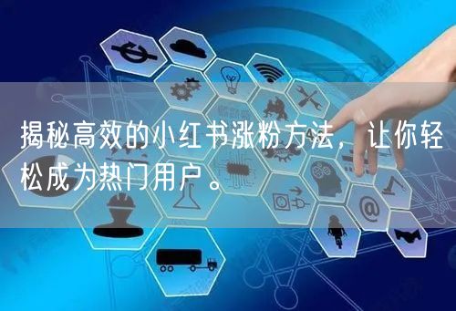 揭秘高效的小红书涨粉方法，让你轻松成为热门用户。