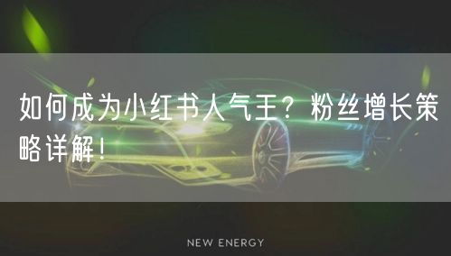 如何成为小红书人气王？粉丝增长策略详解！