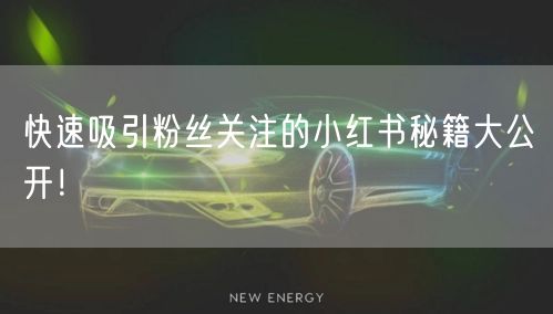 快速吸引粉丝关注的小红书秘籍大公开！