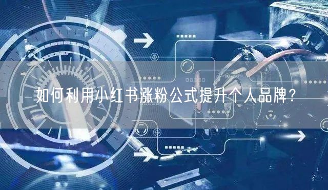 如何利用小红书涨粉公式提升个人品牌？