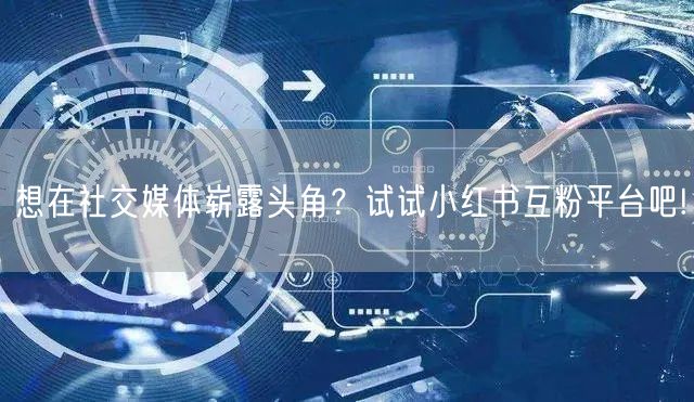 想在社交媒体崭露头角？试试小红书互粉平台吧!