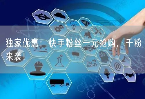 独家优惠：快手粉丝一元抢购，千粉来袭！