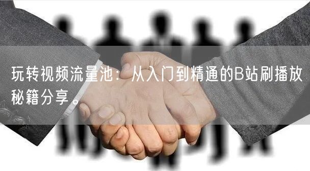 玩转视频流量池：从入门到精通的B站刷播放秘籍分享。