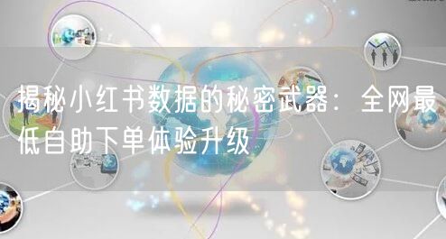 揭秘小红书数据的秘密武器：全网最低自助下单体验升级