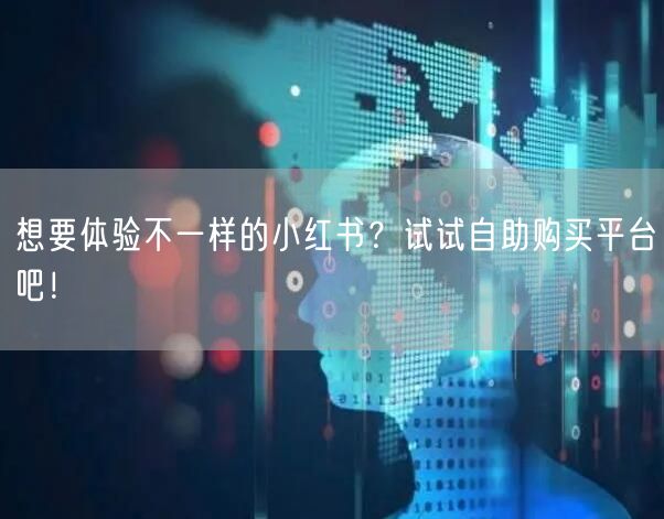 想要体验不一样的小红书？试试自助购买平台吧！
