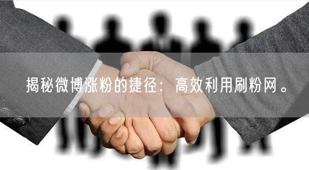 揭秘微博涨粉的捷径：高效利用刷粉网。