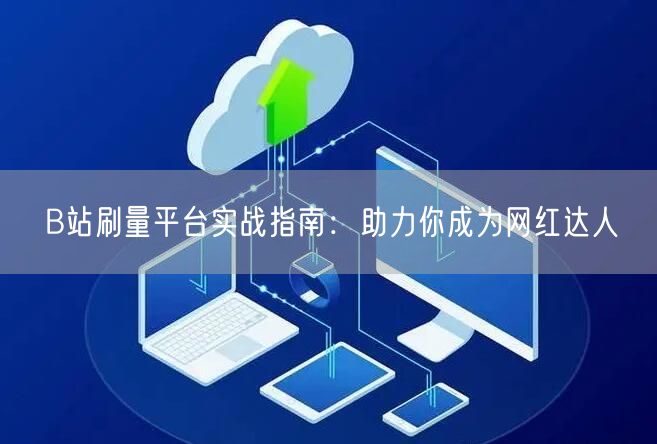B站刷量平台实战指南：助力你成为网红达人