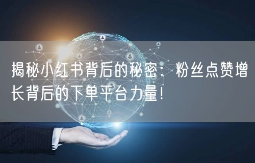 揭秘小红书背后的秘密：粉丝点赞增长背后的下单平台力量！