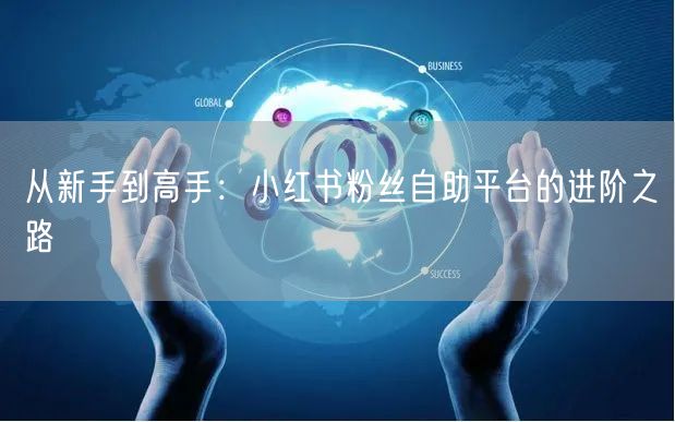 从新手到高手：小红书粉丝自助平台的进阶之路