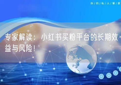 专家解读：小红书买粉平台的长期效益与风险！