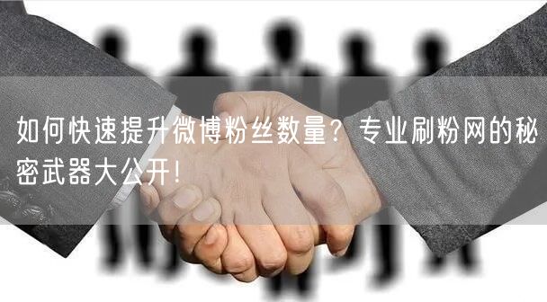 如何快速提升微博粉丝数量？专业刷粉网的秘密武器大公开！
