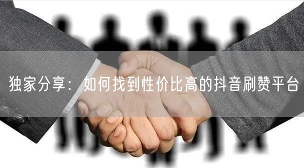 独家分享：如何找到性价比高的抖音刷赞平台