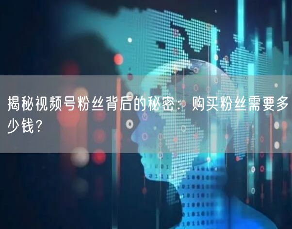揭秘视频号粉丝背后的秘密：购买粉丝需要多少钱？
