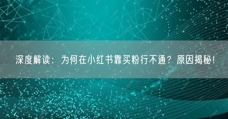深度解读：为何在小红书靠买粉行不通？原因揭秘！