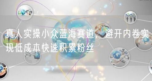 真人实操小众蓝海赛道，避开内卷实现低成本快速积累粉丝