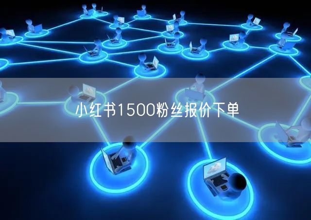 小红书1500粉丝报价下单