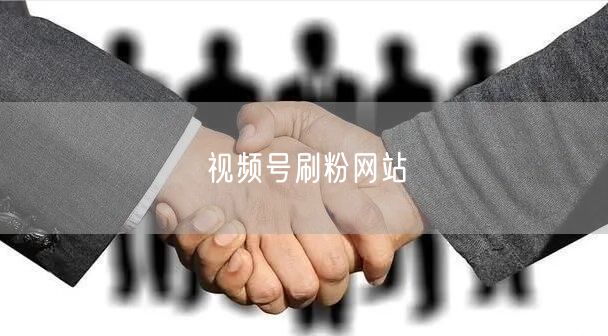 视频号刷粉网站