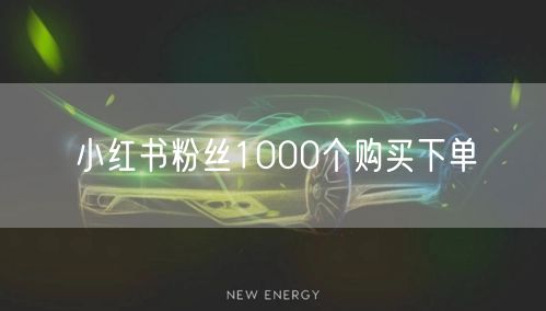 小红书粉丝1000个购买下单