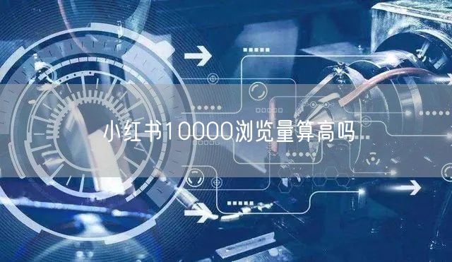 小红书10000浏览量算高吗
