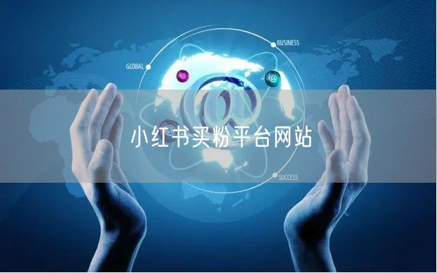 小红书买粉平台网站
