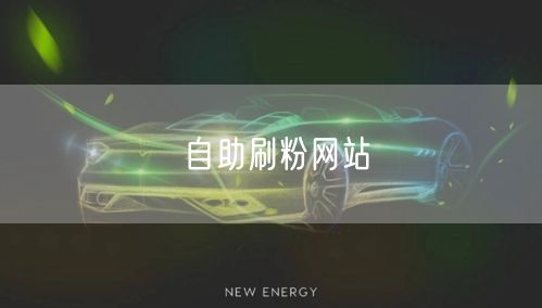 自助刷粉网站