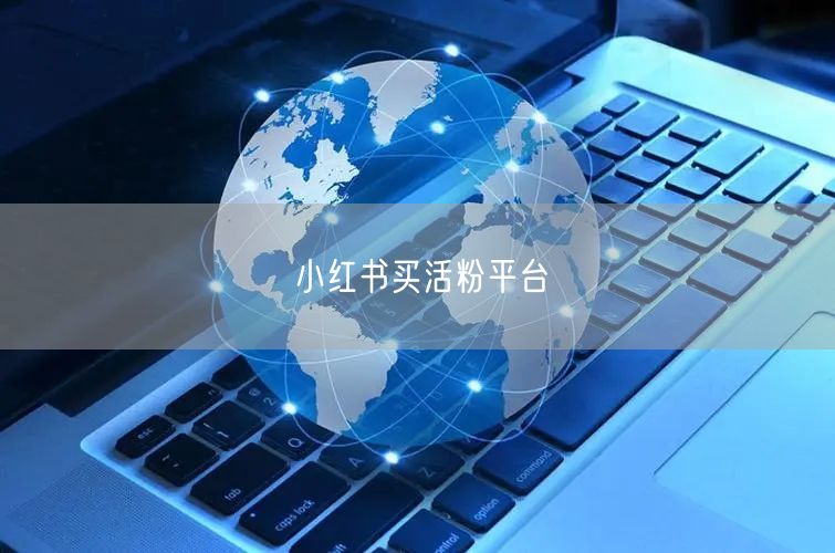 小红书买活粉平台