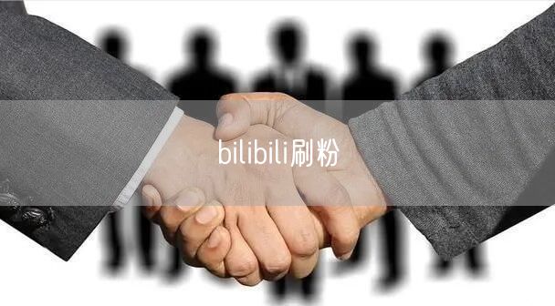 bilibili刷粉