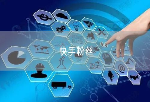 快手粉丝