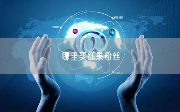 哪里买红果粉丝