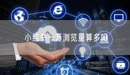 小红书一万浏览量算多吗