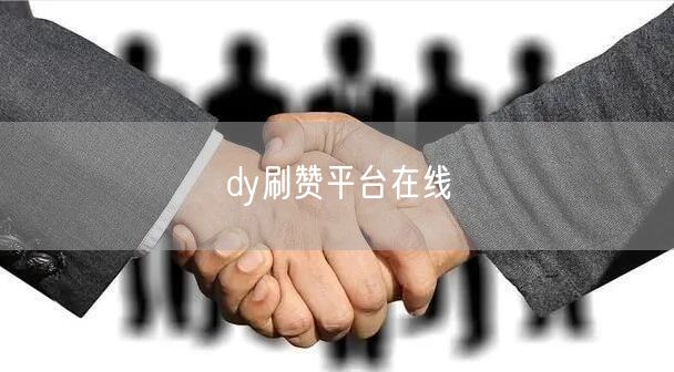 dy刷赞平台在线