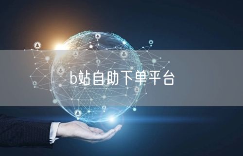 b站自助下单平台
