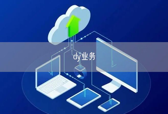dy业务