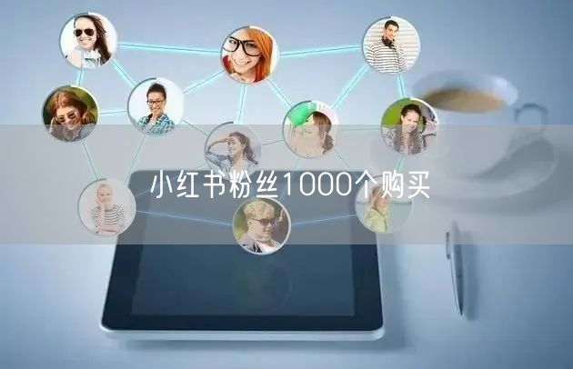 小红书粉丝1000个购买