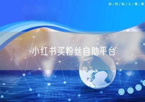 小红书买粉丝自助平台