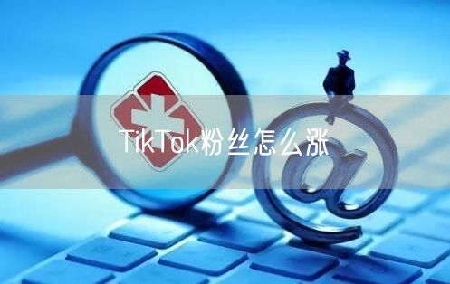 TikTok粉丝怎么涨