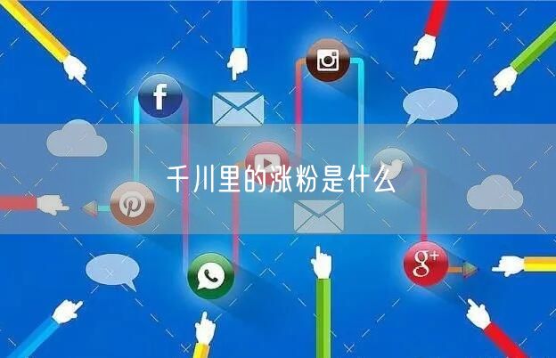 千川里的涨粉是什么