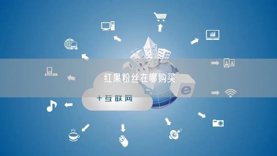 红果粉丝在哪购买