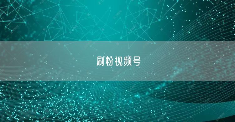 刷粉视频号