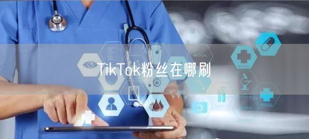 TikTok粉丝在哪刷