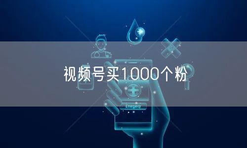 视频号买1000个粉