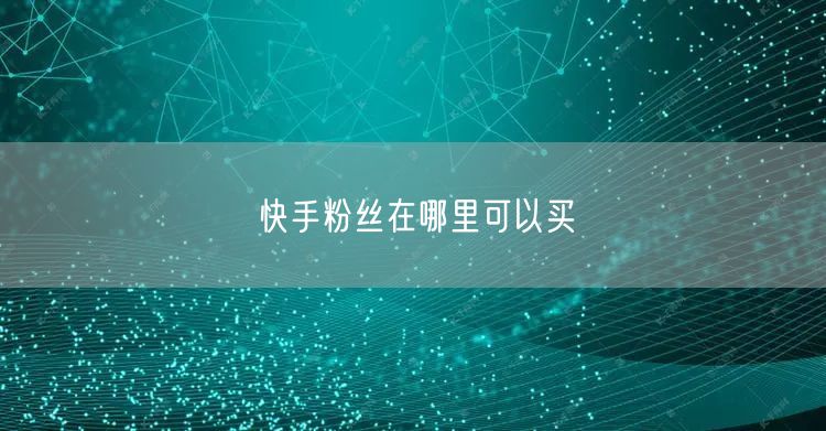 快手粉丝在哪里可以买