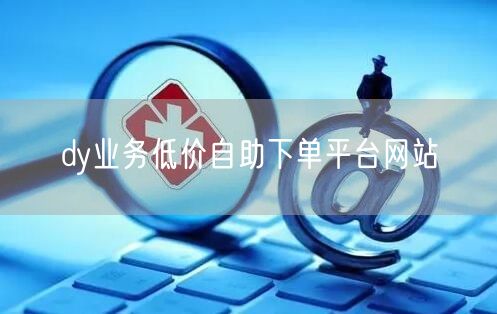 dy业务低价自助下单平台网站