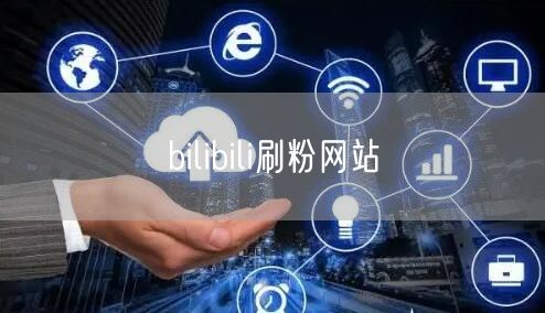 bilibili刷粉网站