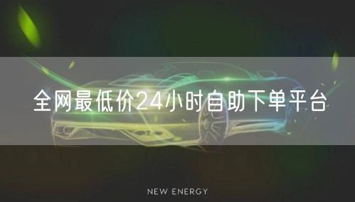 全网最低价24小时自助下单平台