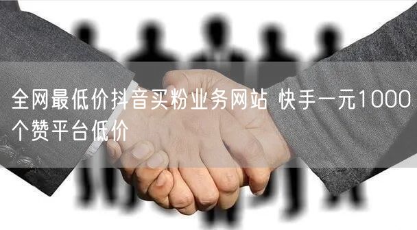 全网最低价抖音买粉业务网站 快手一元1000个赞平台低价